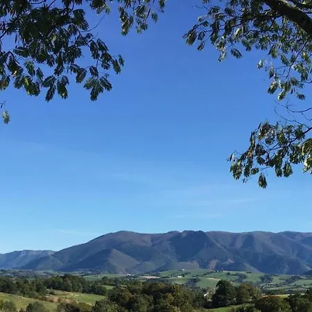 L'autre Sud * Lys