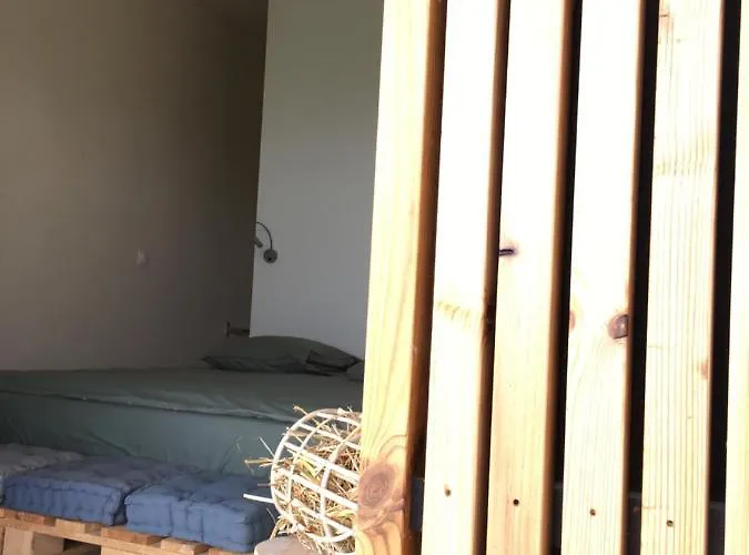 L'autre Sud Lys (Pyrenees-Atlantiques)